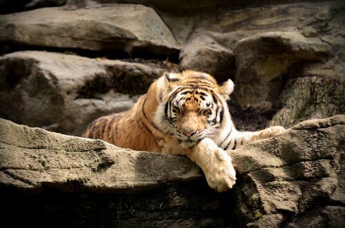 ������ ��������...