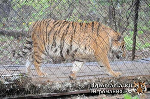 �������� ������ ����� ������ ������� ������� ����������