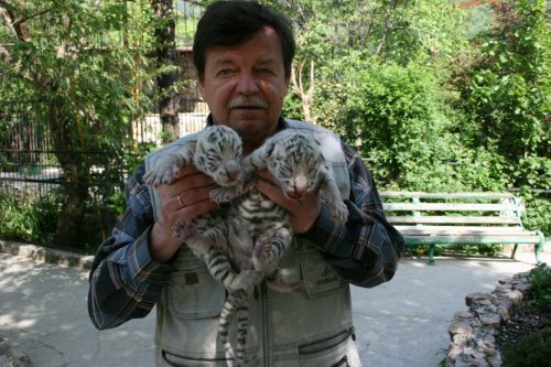 � ��������� �������� ������� ������� ������ �������� ������