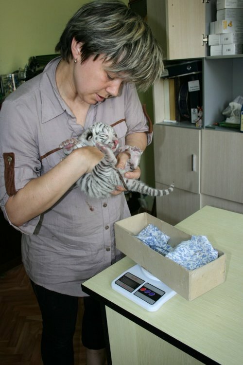 � ��������� �������� ������� ������� ������ �������� ������