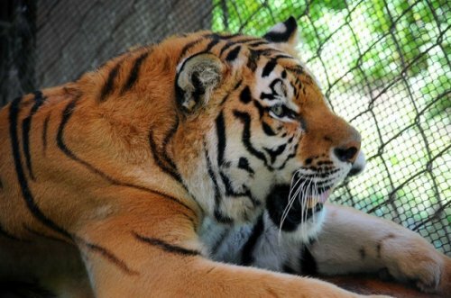 ���������� ���� ������ ��������� �������� ����� ����� � ������ (����)