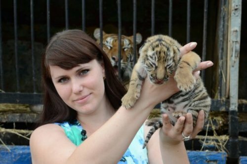 � ����������� �������� ��������� �� ���� ��� �������� ��������