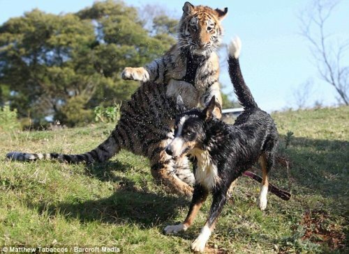 ϸ� �� ������ ���� �����... ������� ������