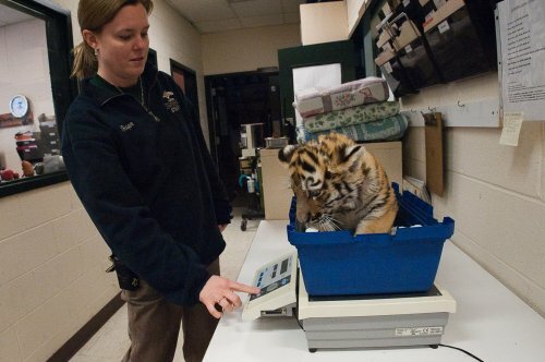 ������� �� �������� ����������