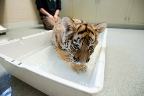 ������� �� �������� ����������