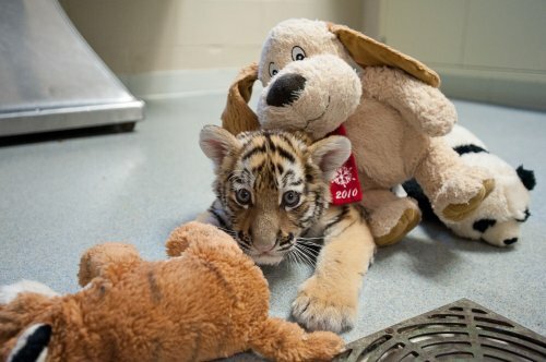 ������� �� �������� ����������