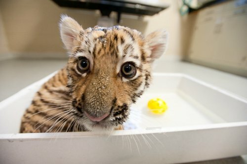 ������� �� �������� ����������