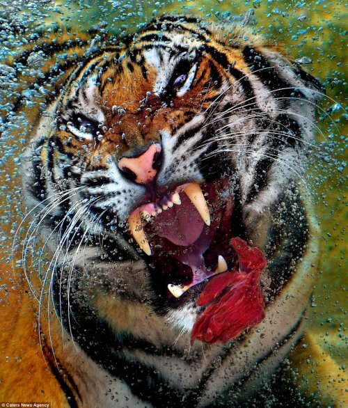 ������ ���� � ������� ����