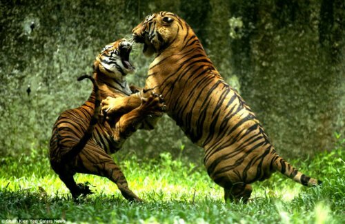 ��� �� �������� ��� ��� �����, �� ��� ��� ������� ��������...