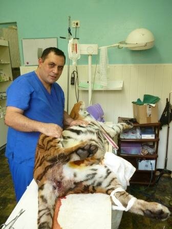 ����������� �������� ����� �������� ���� ������� �� ������������ ��������