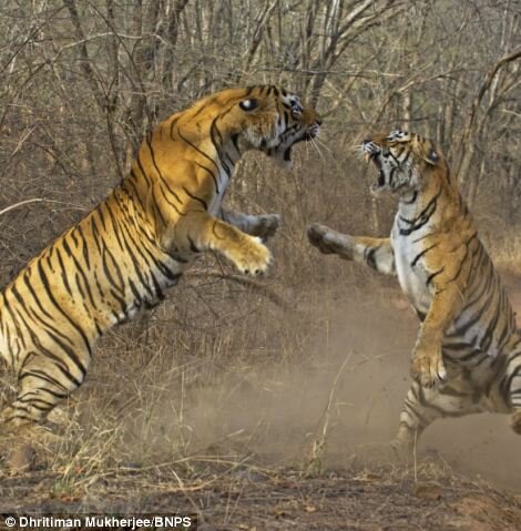 � ����� ����� � ������ ������ ���