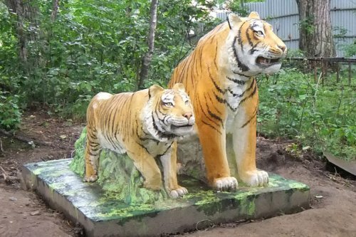 �� ��������������� �������� ������������� ���� �������� ������