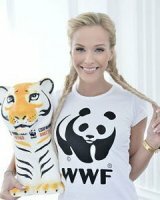 ������� ��������� ���������� �����