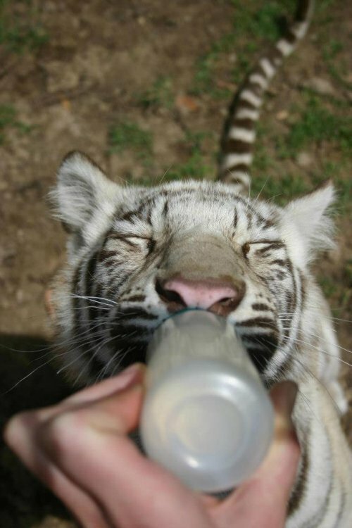 ����� ������� �� ����� ������