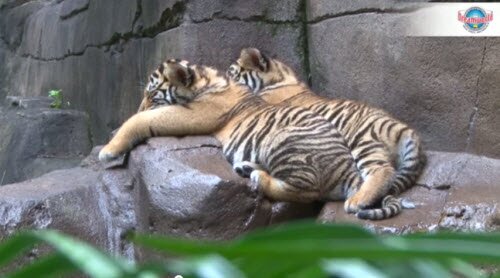 ���� ���� �� ����� ������