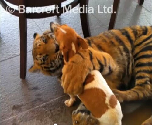 ���� � ������ - ������ ������!