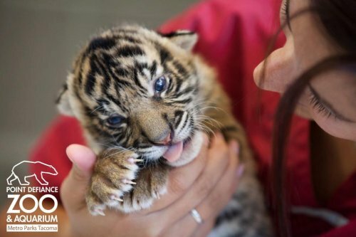 ������������� ������������ �������� �� ������