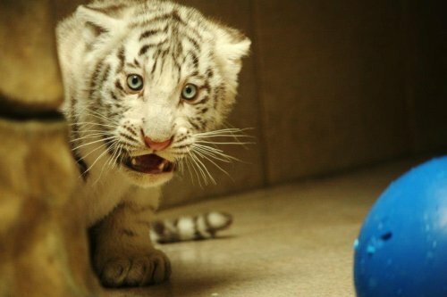 � ������� �������� ���������� ��������� ����� ������