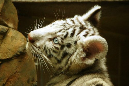 � ������� �������� ���������� ��������� ����� ������