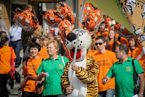 �� ������������ �������� ������������ ���� ����� (�����)