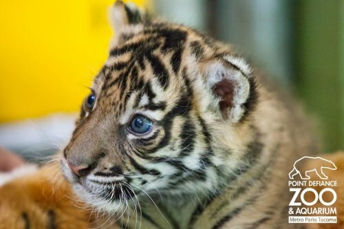 ������������ ������������ ������� �� ������