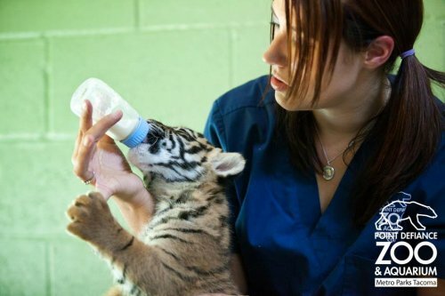 ������������ ������������ ������� �� ������