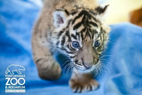 ������������ ������������ ������� �� ������