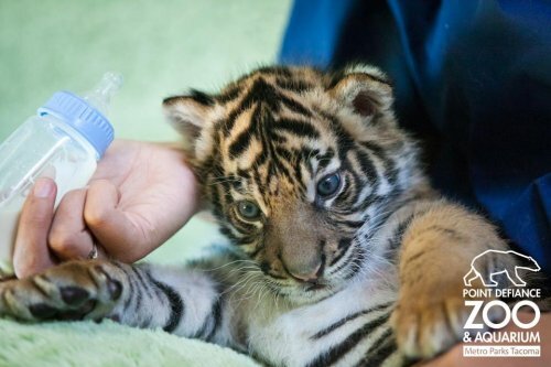 ������������ ������������ ������� �� ������