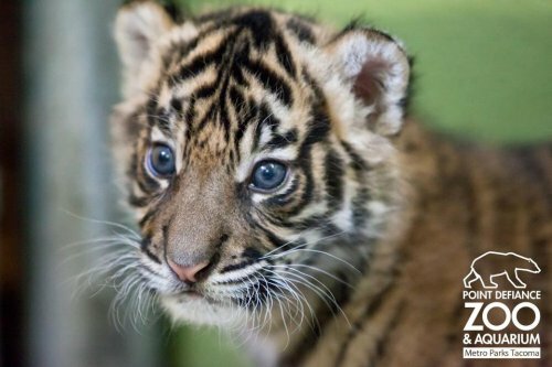 ������������ ������������ ������� �� ������