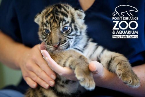 ������������ ������������ ������� �� ������