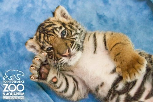 ������������ ������������ ������� �� ������