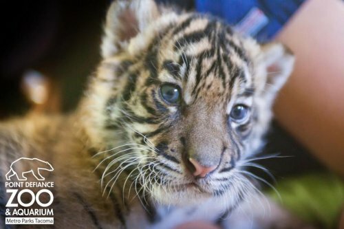 ������������ ������������ ������� �� ������