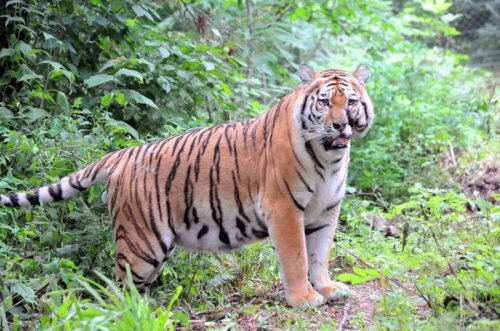 � ����������� ������ ��� ���������� ������� �������� ������ ��������� � ����������