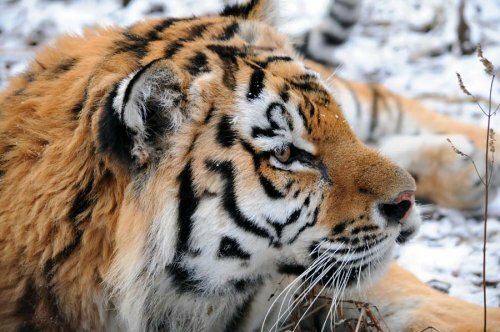 ������� �� ���� ��������: ��������� �������� ������� ��������� � ��������� �� �������� ������ (����)