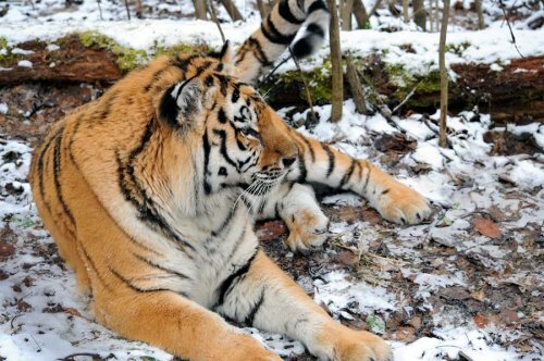 �������� ���� � ������ �� ������� ������