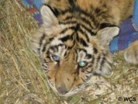 ����� ������� ������ ������� �������!