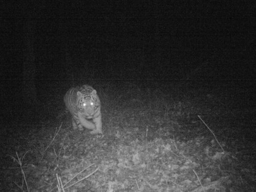 �������� ���� � ����� �������