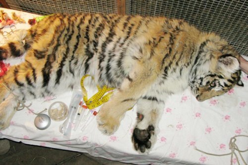 ����� ������� ������ ������� �������!