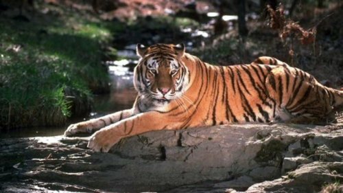 ����� ������ ����������� �� �������� ������� ������