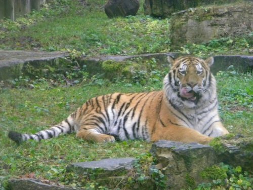 ����� ����� �������� ������...