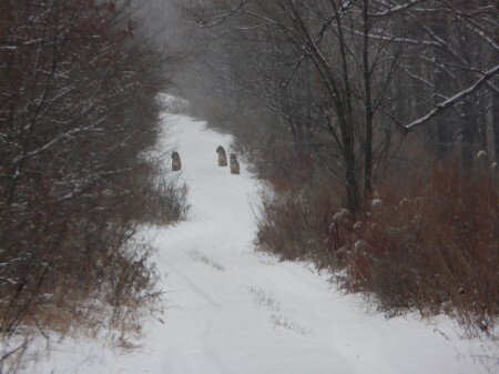 �������, ��������� � ���������� ����, �������� ������������ � ������ ��� �������������� ����� (�����)