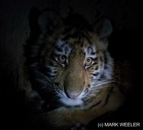 � ������� ������� ��������� ������