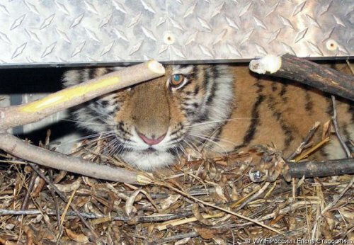 ���� � ��������: ��� �������� �������� ��� ������