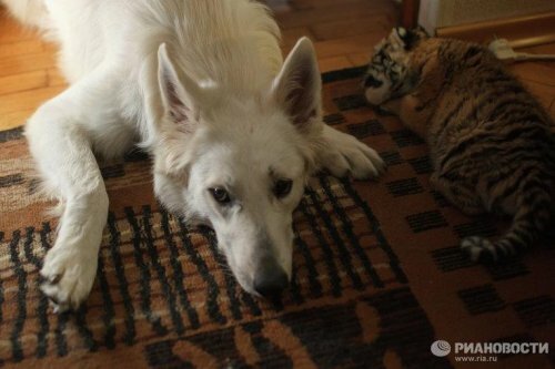 ������� �����. ������ �� ����� ������ ������!