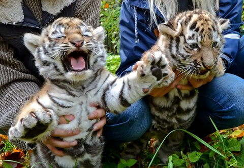 � �������� �������� �������� �������� �������