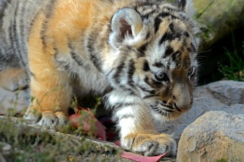 � �������� �������� �������� �������� �������