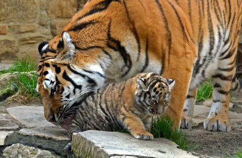 � �������� �������� �������� �������� �������