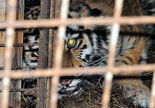 ������� � ������ ������� ������� �������� �� �������� ����