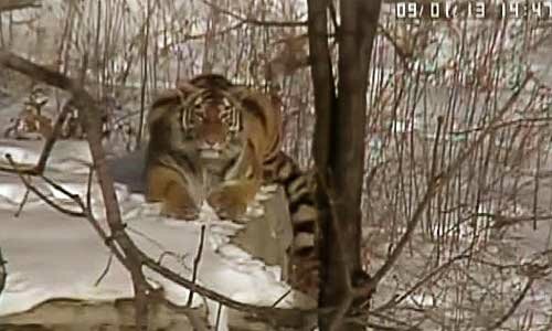 ������������ ����������� ������ �������� �������