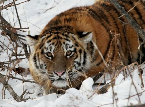 ������� �������� � ����� ��������� � ���������� ����� ������